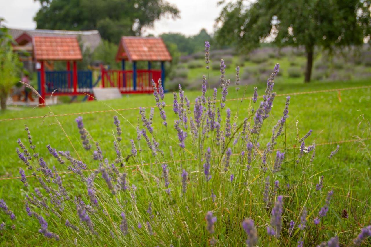 Lavanda Farm Apartmani Rakovica Ngoại thất bức ảnh