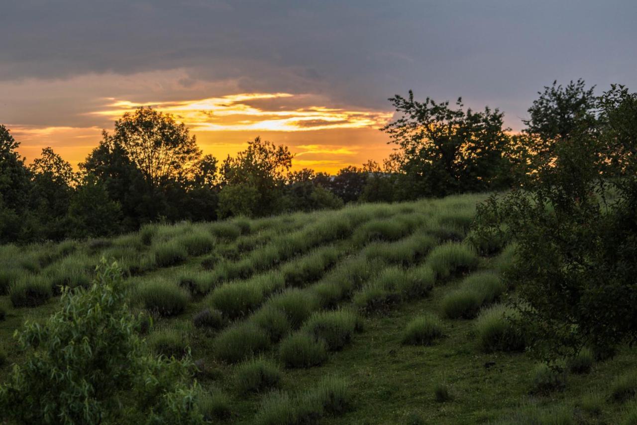 Lavanda Farm Apartmani Rakovica Ngoại thất bức ảnh