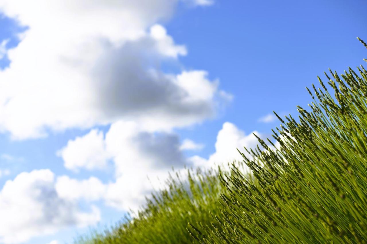 Lavanda Farm Apartmani Rakovica Ngoại thất bức ảnh