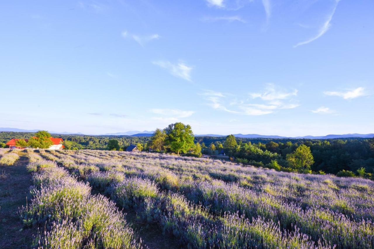 Lavanda Farm Apartmani Rakovica Ngoại thất bức ảnh