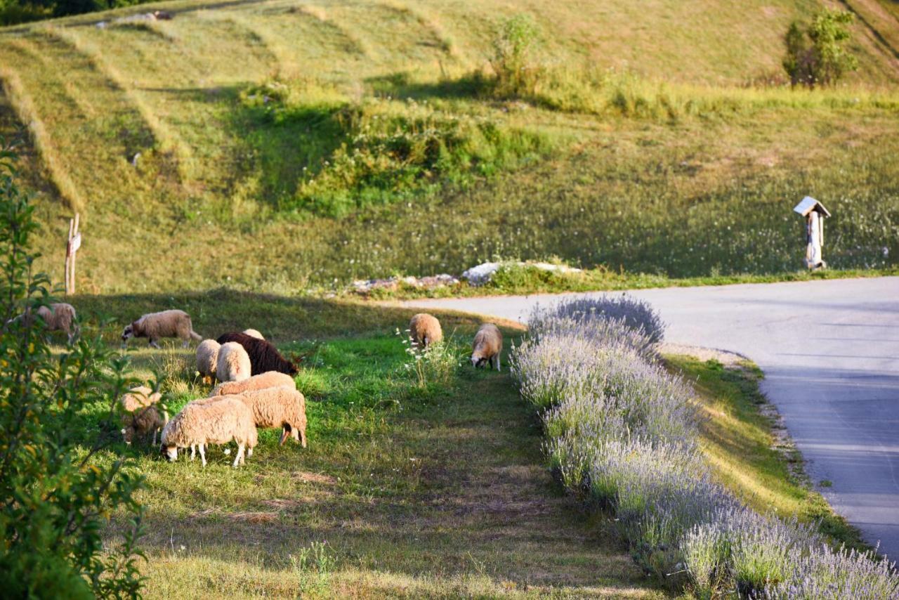 Lavanda Farm Apartmani Rakovica Ngoại thất bức ảnh