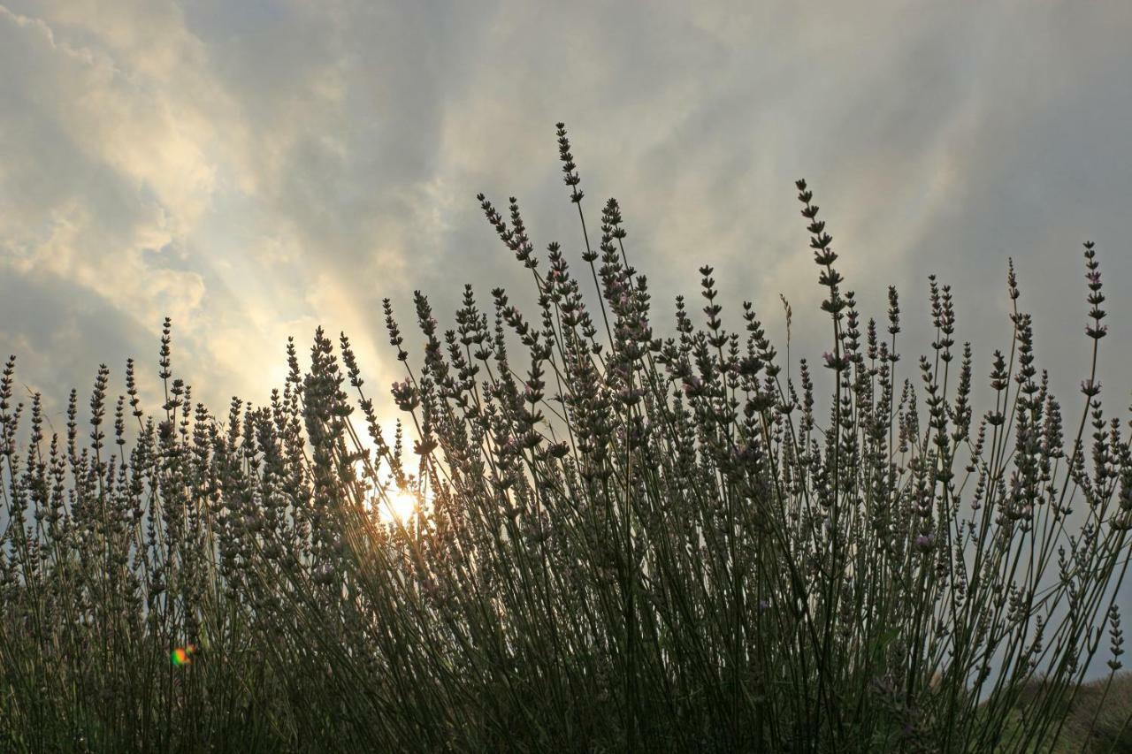 Lavanda Farm Apartmani Rakovica Ngoại thất bức ảnh