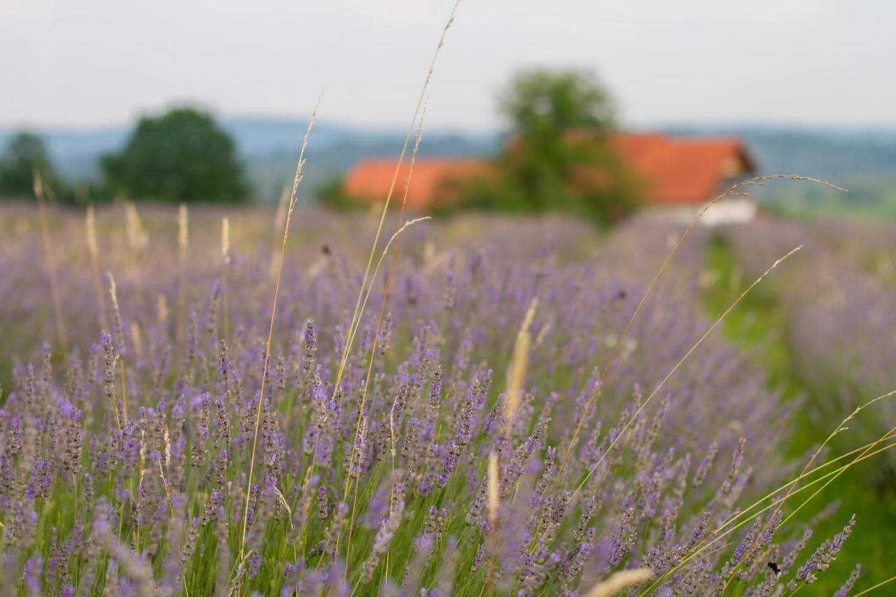 Lavanda Farm Apartmani Rakovica Ngoại thất bức ảnh